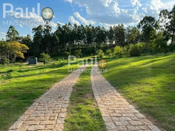 Luxury Farmhouse – 5 Suites, 703.5 m² of Spacious Living - Imagem 11